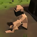 Civilization