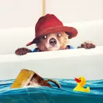 Paddington