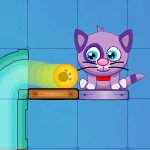 Cat Puzzle