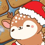 Mojicon Winter Connect