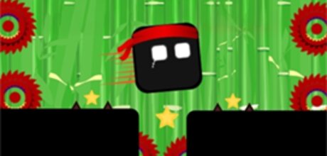 Ninja Platformer Rage