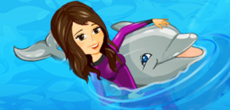 My Dolphin Show