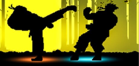 Shadow Fights