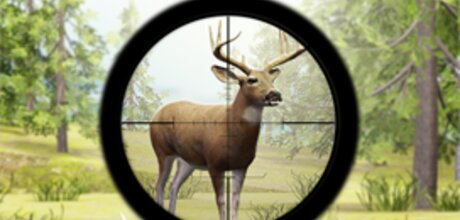 Contract Deer Hunter
